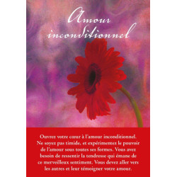 Archange Raphaël enseignements et protection (Coffret)