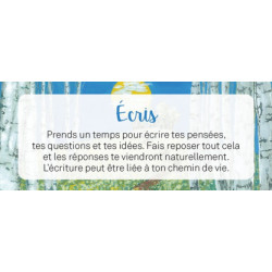 Le petit Oracle de la mission de vie