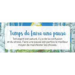 Le petit Oracle de la mission de vie