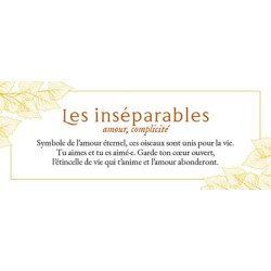 Le petit Oracle de l'Arbre de Vie - Coffret