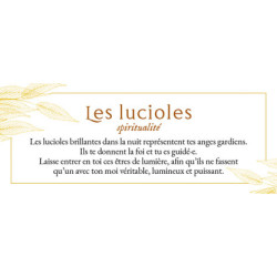 Le petit Oracle de l'Arbre de Vie - Coffret