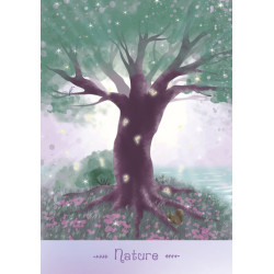 Lumière de Fée - Coffret