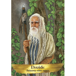 Oracle des esprits protecteurs - Coffret