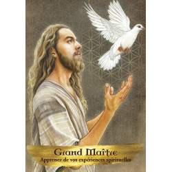 Oracle des esprits protecteurs - Coffret