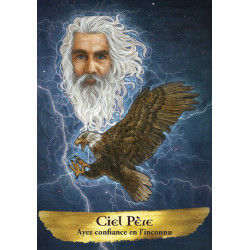 Oracle des esprits protecteurs - Coffret