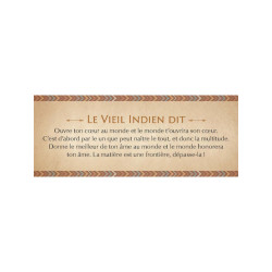 LE PETIT ORACLE DES SAGESSES AMERINDIENNES