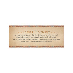 LE PETIT ORACLE DES SAGESSES AMERINDIENNES