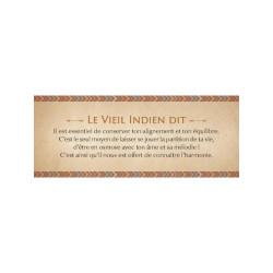 LE PETIT ORACLE DES SAGESSES AMERINDIENNES