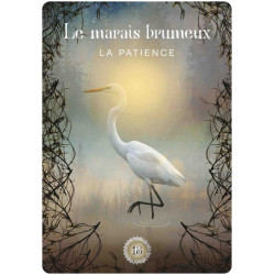 L'ORACLE DE LA FORET SACREE