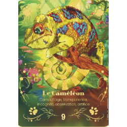 L'ORACLE DE LA CONSCIENCE ANIMALE